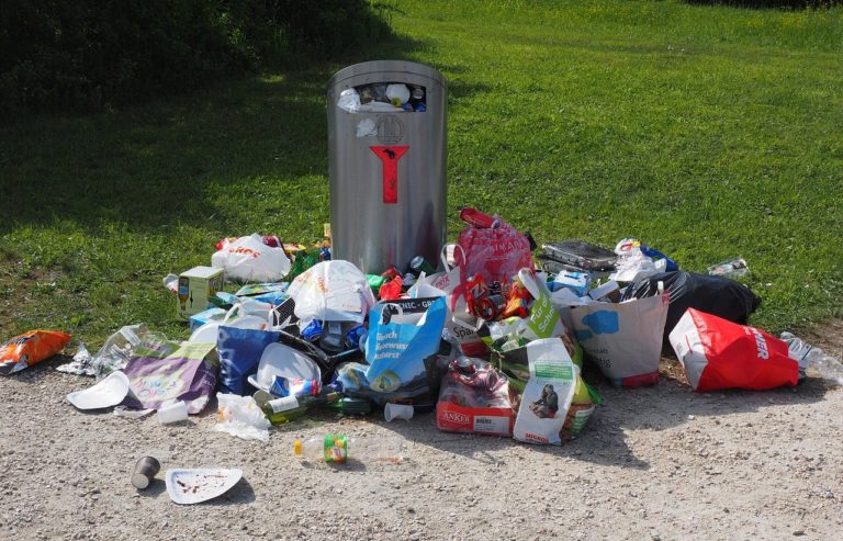 Probleme der Müllentsorgung im öffentlichen Raum