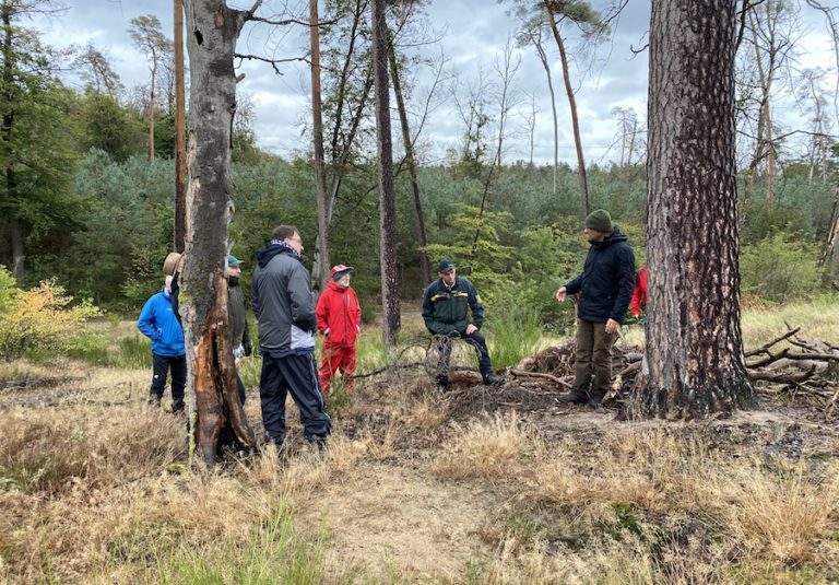 „Der Schwetzinger Hardtwald ist ein Sorgenkind im Land“